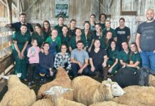 Acadêmicos avaliam a eficácia de vermífugos em rebanho de ovinos