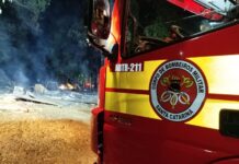 Aviário é destruído por incêndio em SC