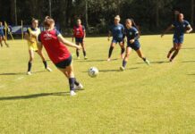 Avaí/Kindermann estreia no Brasileiro Série A2 contra o Santos