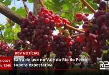 RBV Notícias – 12/03/2025 – Edição 1246