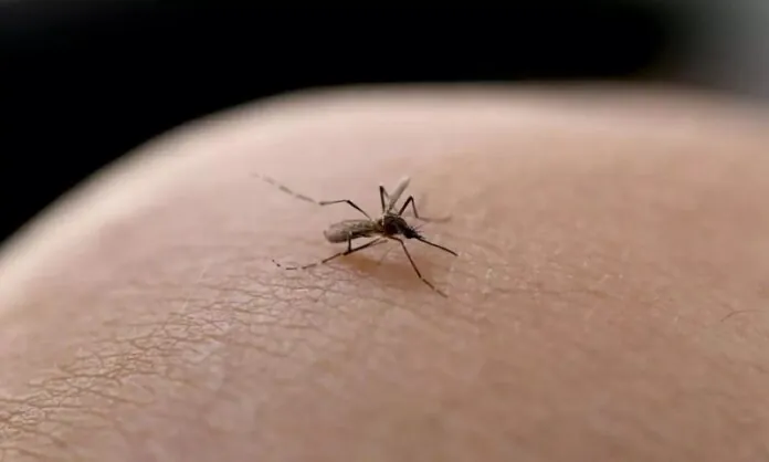 Jovem de 22 anos morre com Chikungunya em Xanxerê