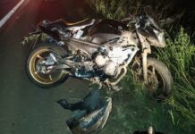 Colisão entre moto e javali deixa dois feridos na BR-282