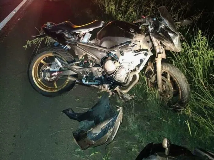 Colisão entre moto e javali deixa dois feridos na BR-282