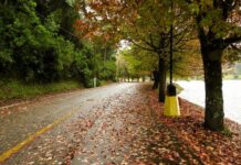 Saiba quando começa o outono 2025 e o que esperar do clima