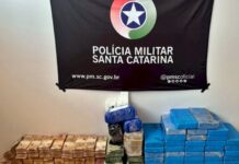 Idoso é preso com mais de R$ 810 mil em dinheiro e 60 kg de drogas em SC