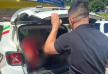 Suspeito de tentativa de estupro é preso em Rio das Antas