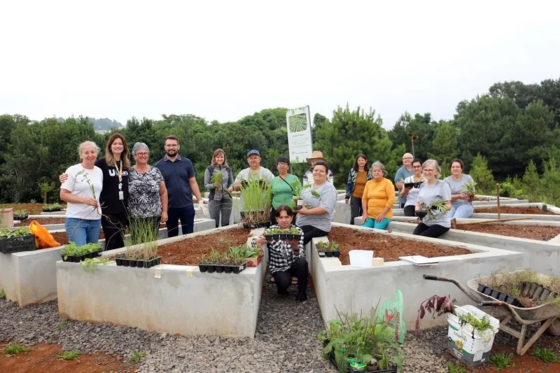 Iniciado o cultivo das plantas medicinais no canteiro do Relógio Biológico