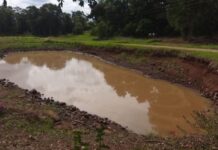 Seca afeta 16 cidades de SC, com estiagem nos rios e impactos na agricultura