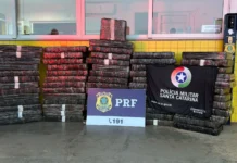 Motorista abandona Hilux com mais de 700 kg de maconha