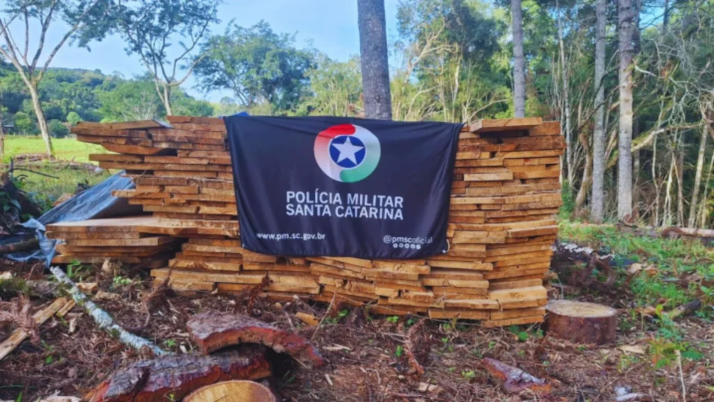 Polícia Ambiental apreende mais de 15 m³ de madeira de espécie ameaçada de extinção