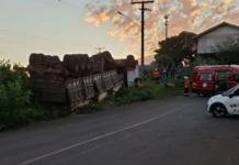 Caminhão carregado com madeira tomba na Honorino Moro