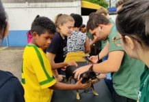 Vacinação gratuita contra a raiva imuniza 170 animais em Caçador