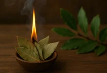 Veja por que o cheiro do louro queimado pode transformar o seu ambiente