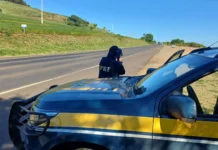 Nove morrem em acidentes nas rodovias federais de SC