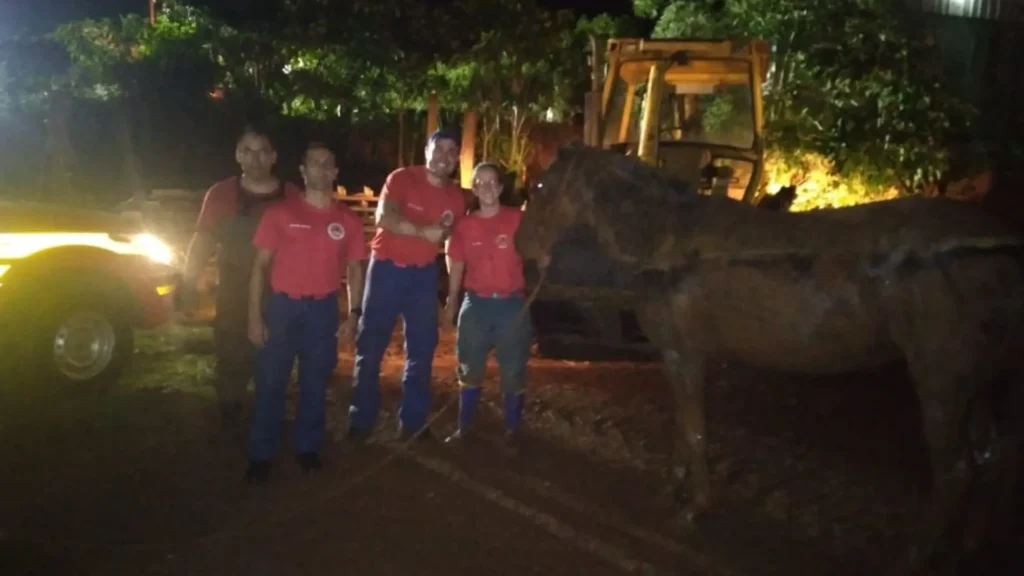 Bombeiros resgatam animal preso em fossa séptica em Fraiburgo
