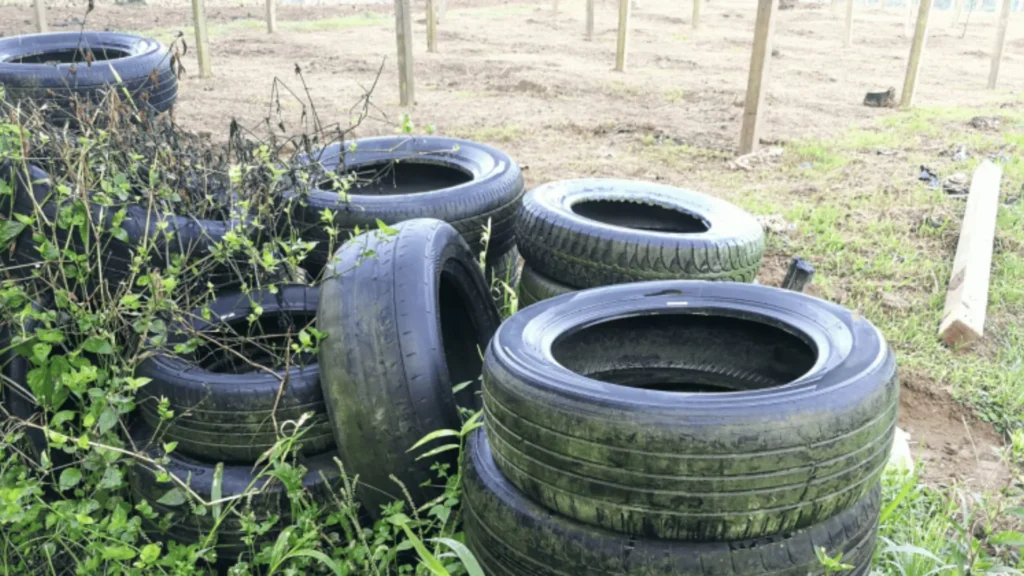 Prefeitura de Canoinhas fará mutirão de limpeza contra a dengue