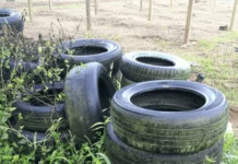 Ação contra a dengue acontece nos bairros São Francisco, São Cristóvão e Matriz em Videira