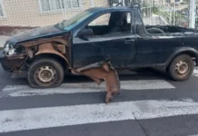 Homem é preso por embriaguez ao volante e invasão de domicílio