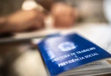 Videira fecha julho com saldo positivo de 230 novos empregos formais