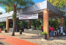 Feira do Peixe Vivo começa nesta quarta-feira em Caçador