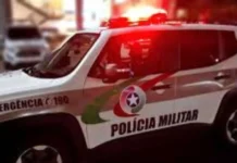 Oito cães são envenenados em propriedade rural no Meio-Oeste de SC