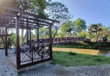 Previsão do tempo: Quinta-feira segue mais estável em Santa Catarina