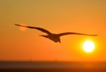 Sexta-feira promete calor intenso antes da chuva no fim de semana