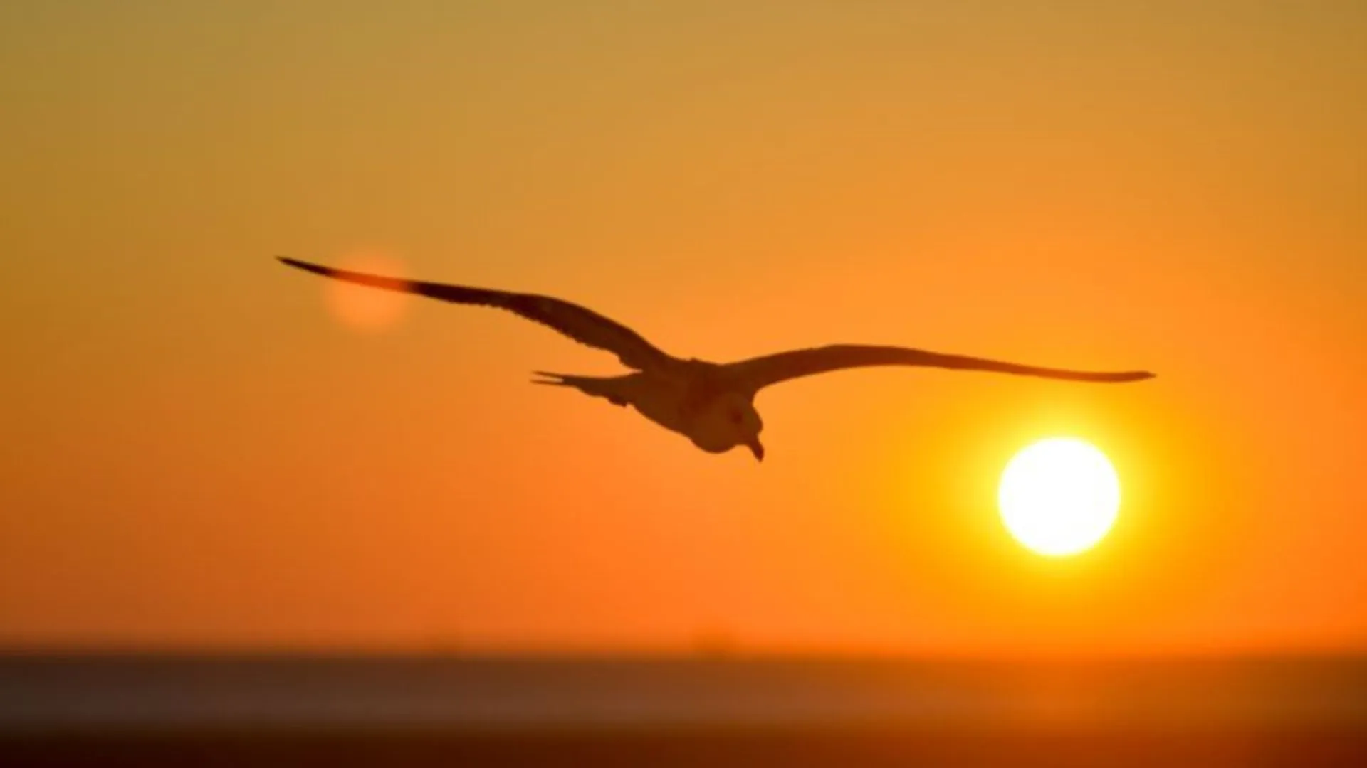 Sexta-feira promete calor intenso antes da chuva no fim de semana