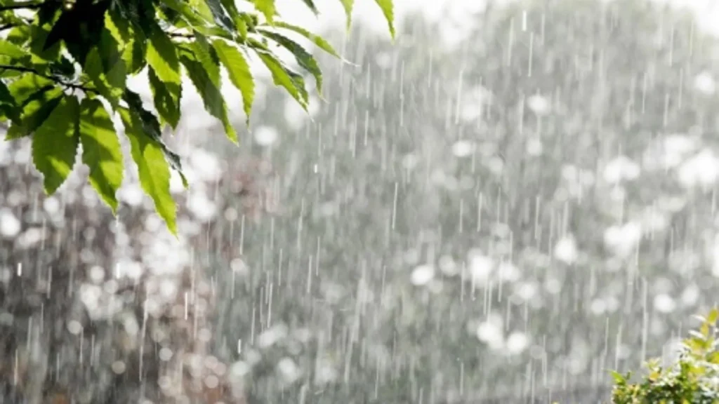 Previsão do Tempo: Santa Catarina com chuva em boa parte do território