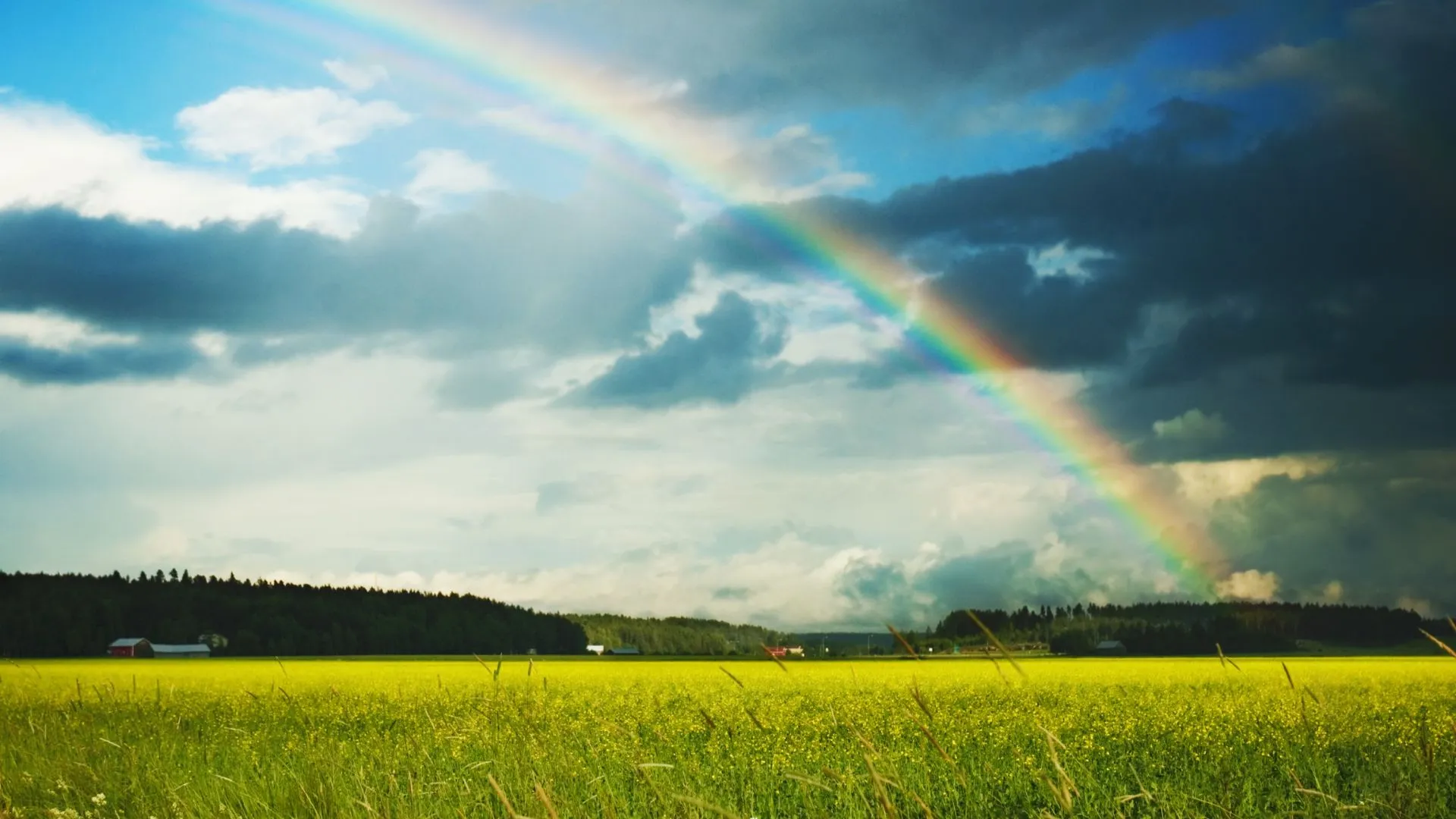 Meio-Oeste de SC terá quinta-feira com calor e risco de temporais
