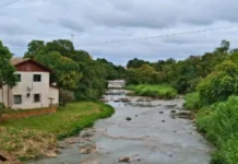 Comunidade e entidades se unem para recuperar o Rio das Pedras em Videira
