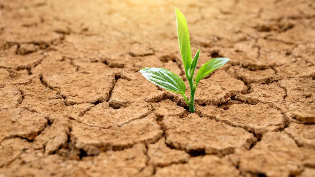 Meteorologista alerta sobre super El Niño e seca extrema