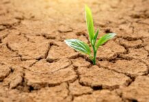 Meteorologista alerta sobre super El Niño e seca extrema