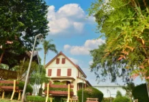 Museu do Vinho exibe filmes gratuitos durante Semana Nacional de Museus