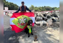 Binômio de SC é o mais certificado do Brasil