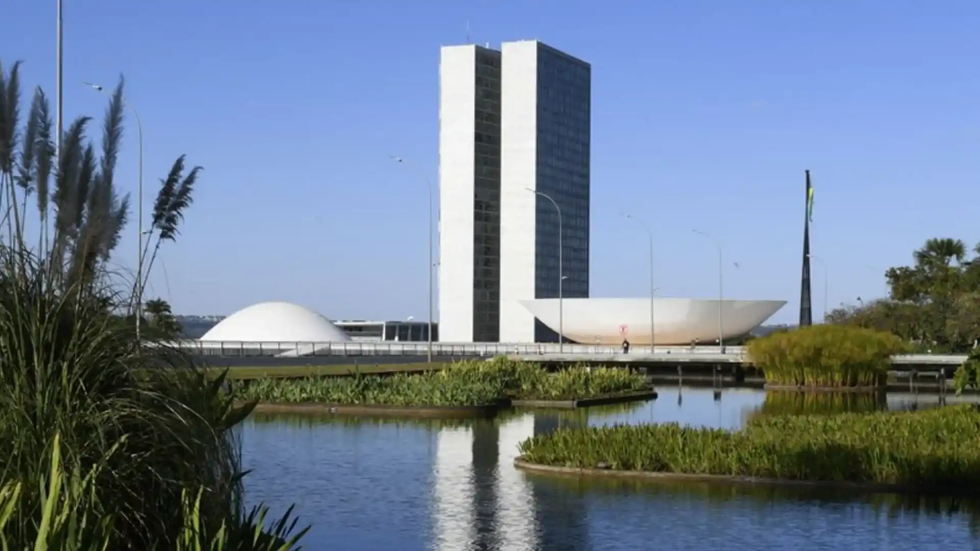 Mandato único e o risco das reformas parciais no ordenamento político brasileiro