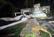 Motorista foge da polícia, sofre acidente e abandona carga de cigarros contrabandeados