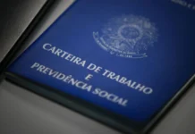 SC registra o 4º maior crescimento em empregos entre os estados brasileiros