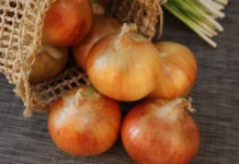 Cebola tem alta de cerca de 50% nos preços em uma semana