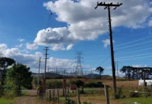 Linha de energia entre Videira e Fraiburgo recebe aval ambiental do IMA