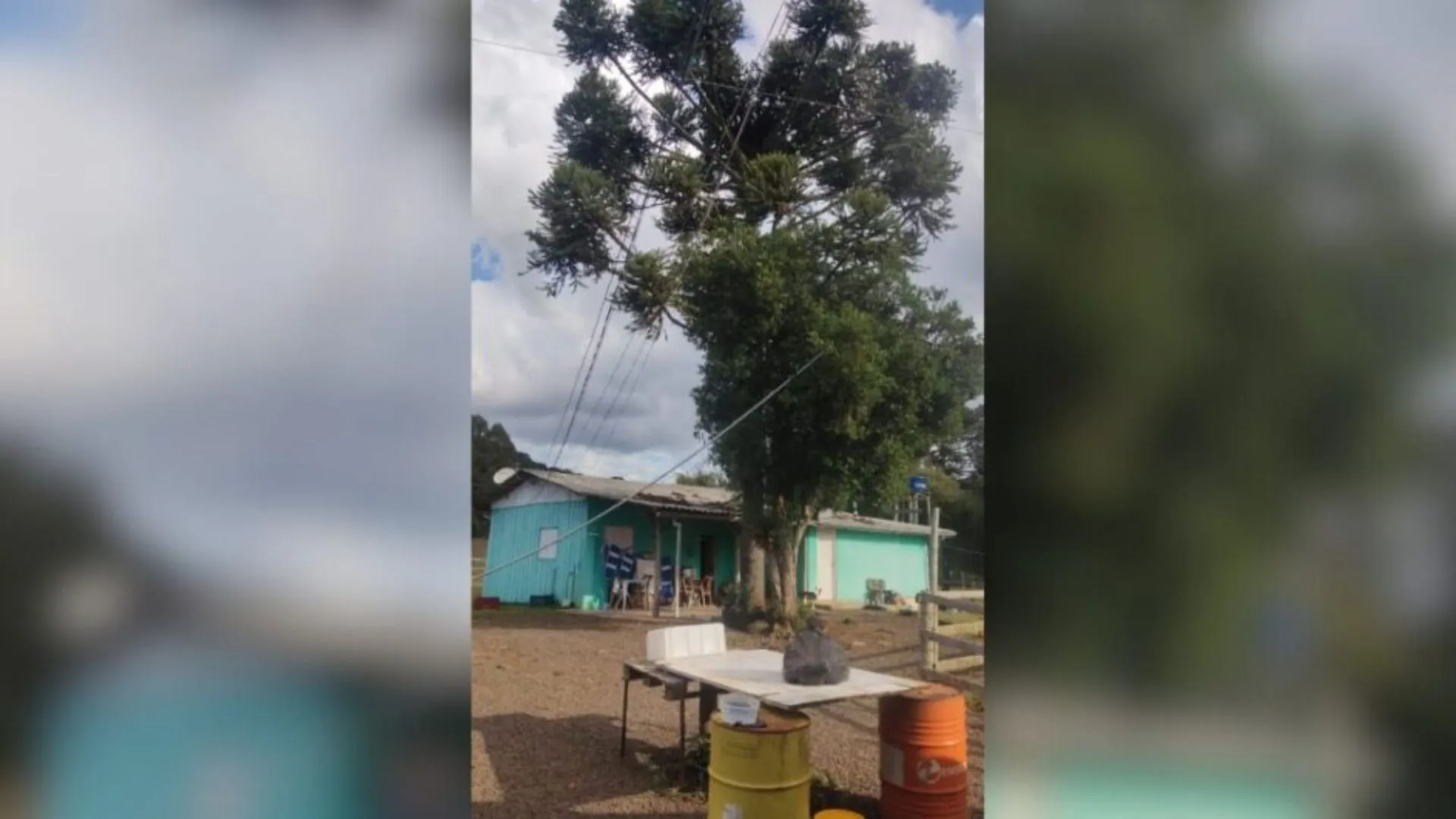 Homem morre após choque elétrico enquanto colhia pinhão em SC