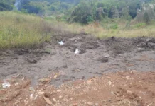 PM Ambiental investiga descarte irregular de chorume em Fraiburgo
