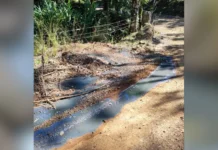 Polícia Ambiental autua produtor por vazamento de dejetos em Treze Tílias