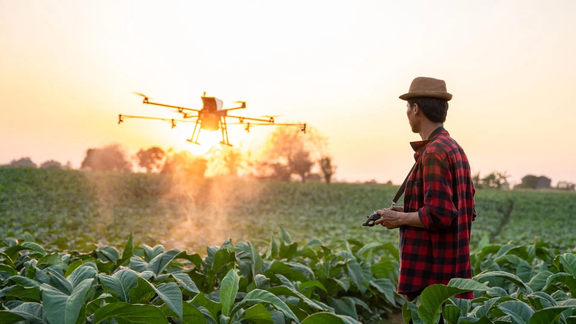 Cidasc promove evento online sobre pulverização com drones
