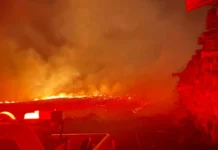 Área de eucalipto pega fogo e bombeiros levam quatro horas para conter as chamas