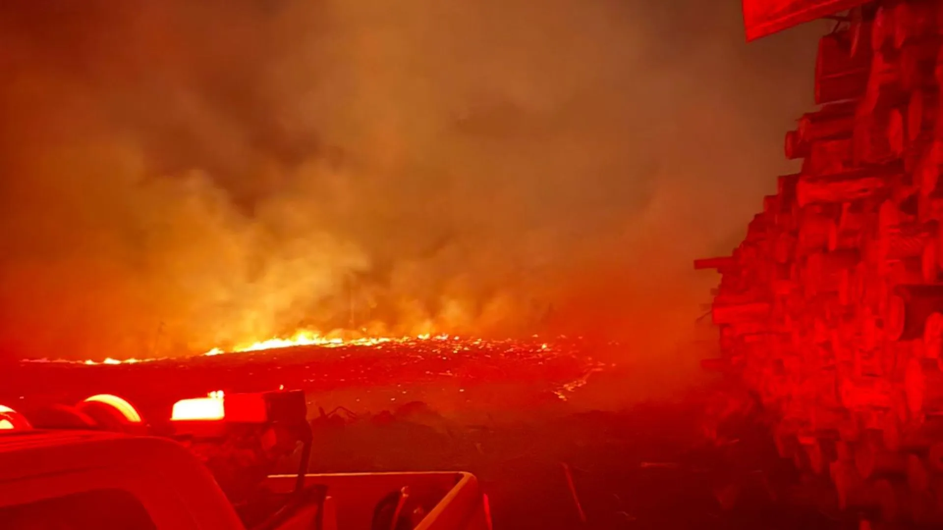 Área de eucalipto pega fogo e bombeiros levam quatro horas para conter as chamas