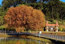Fraiburgo foi a cidade do Meio-Oeste com menor temperatura neste sábado