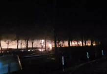 Incêndio atinge chiqueiro com 2 mil suínos no Oeste de SC