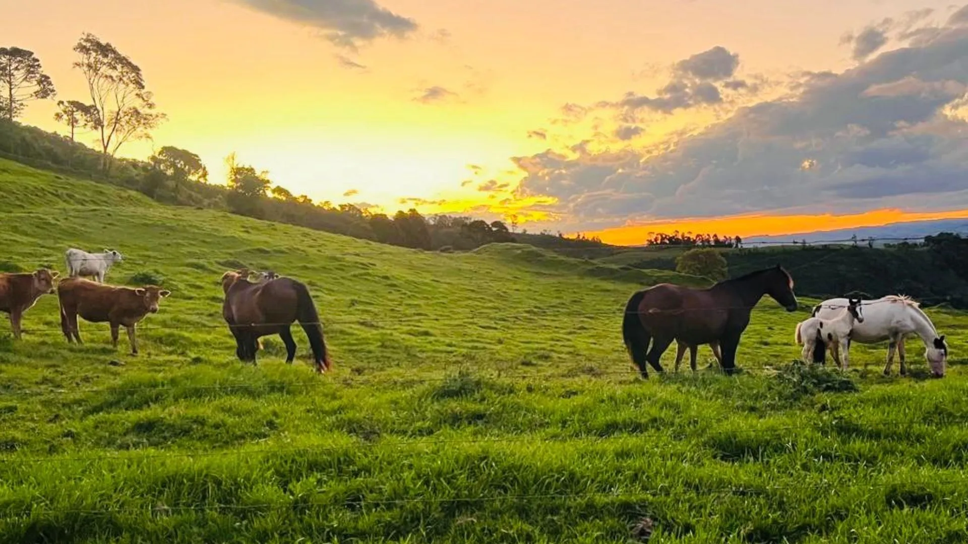 Iomerê realiza o Primeiro Sermão da Montanha no dia 8 de junho