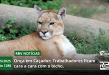 RBV Notícias Caçador – 09/05/2025 – Edição 1288